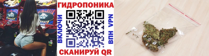 Гашиш Макарьев